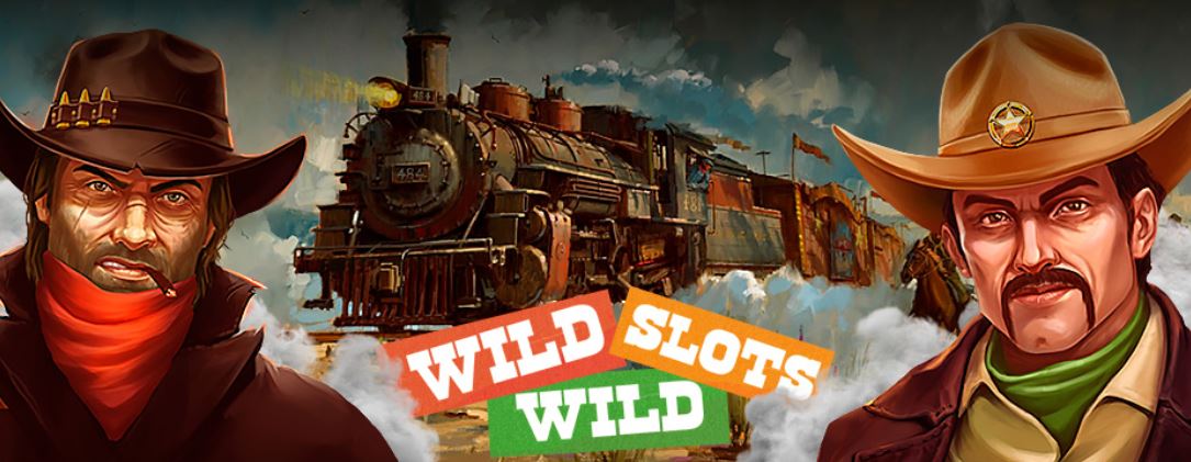 wild slots casino